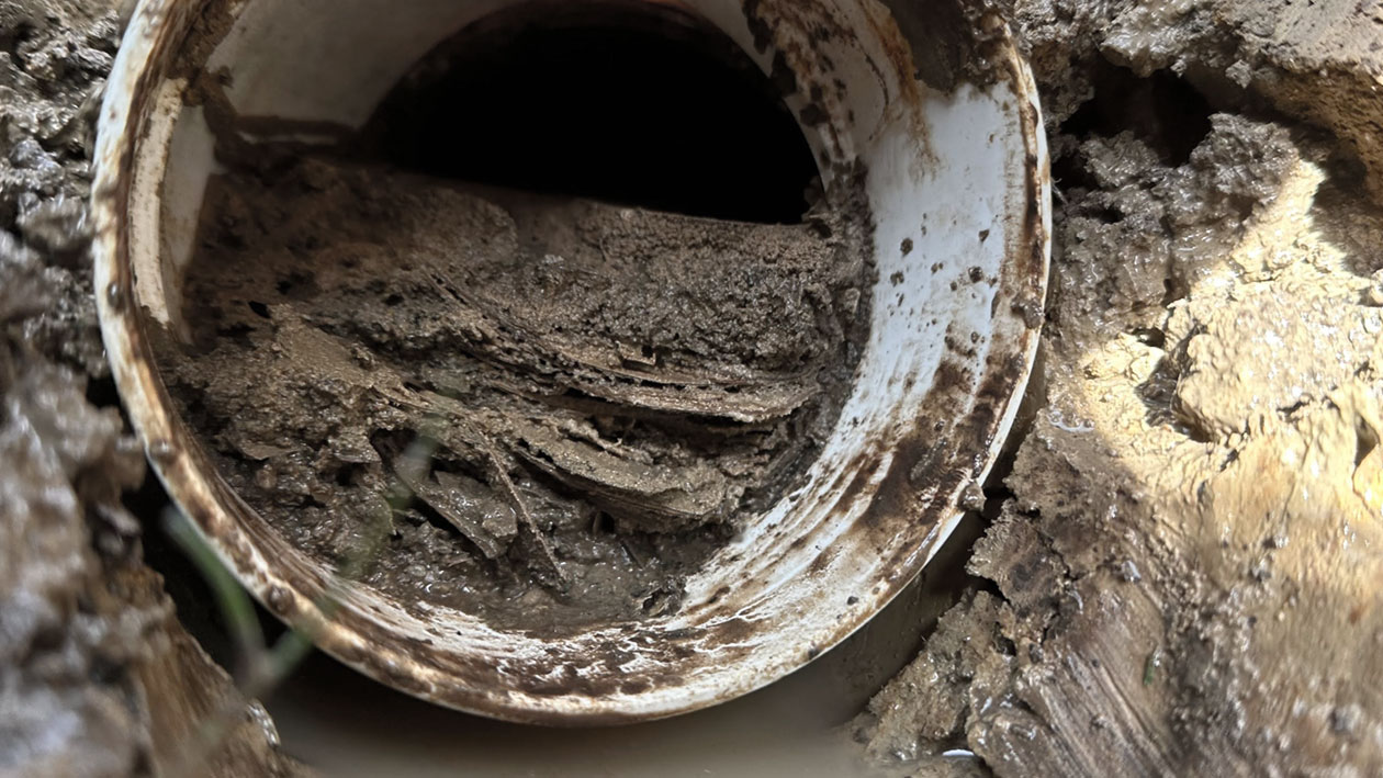 A drain clogged with dirt