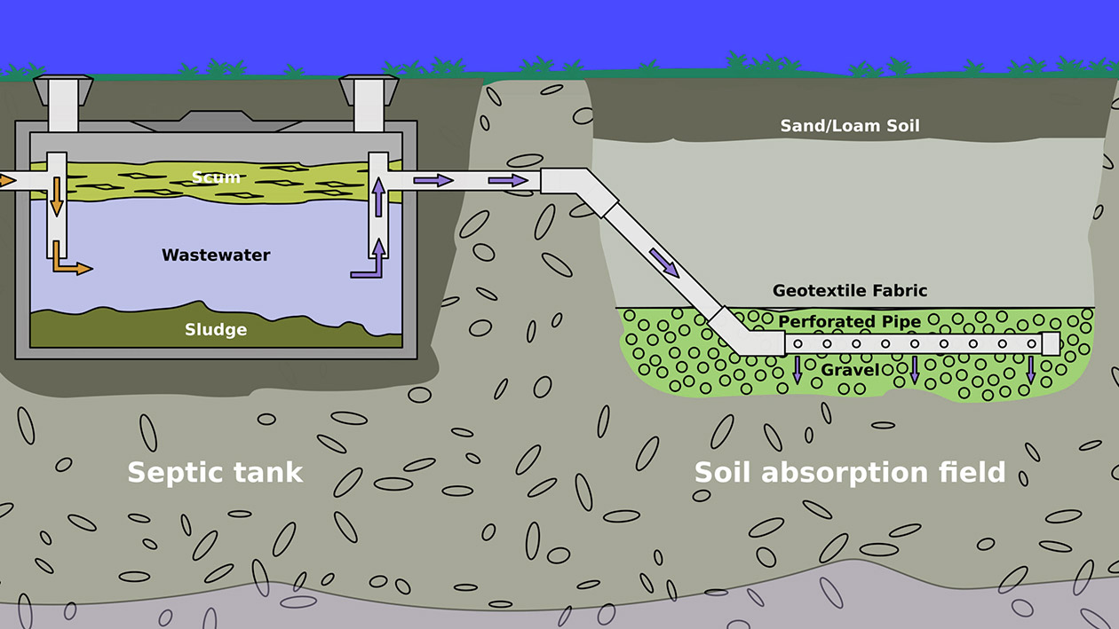 Illustration of Septic System