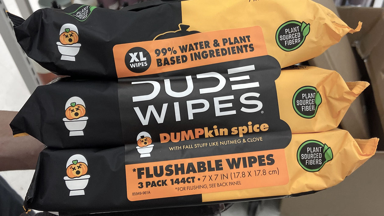 Flush Wipes Toilet